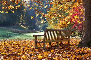 Renovating Your Home This Fall? Have an HVAC System Plan