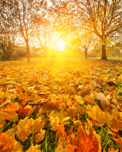 Should You Keep Your Air Conditioner Running this Season?